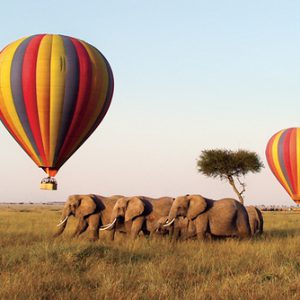 Hazyview Buffalo Game Lodge Ballooning